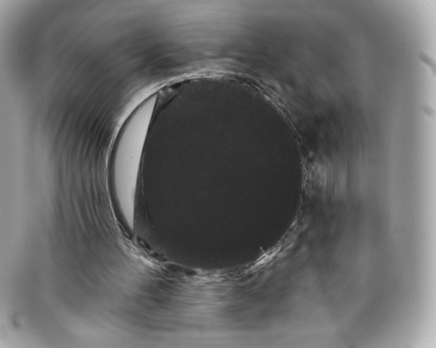 X0000097950100200804211046