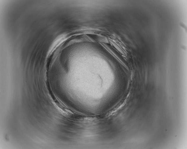 X0000097950101200804211046