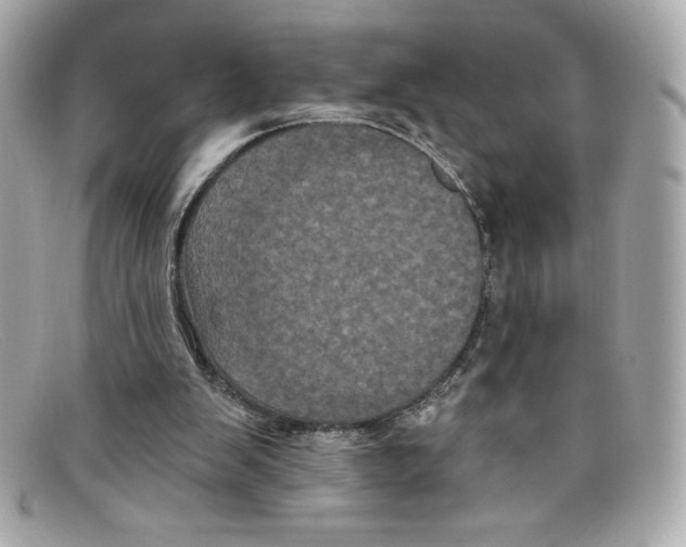 X0000097950103200804211046