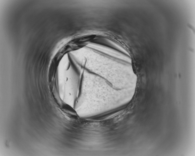 X0000097950104200804211046
