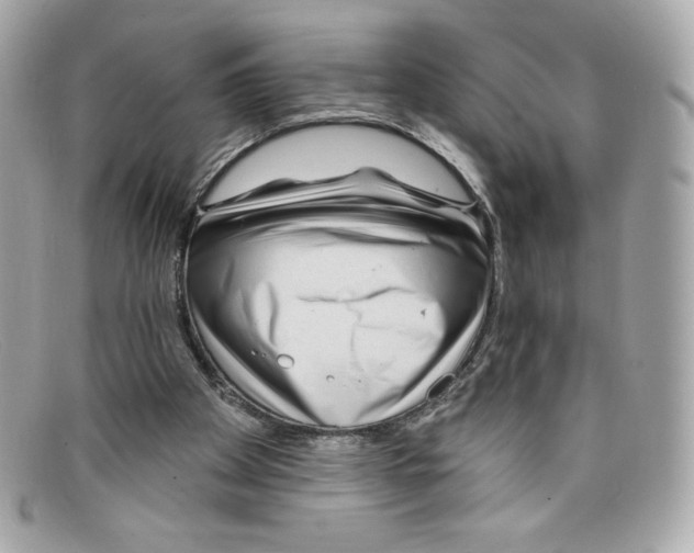 X0000097950105200804211046