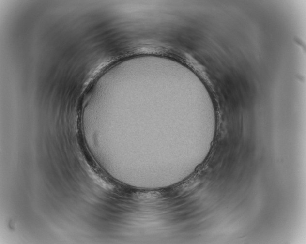 X0000097950106200804211046