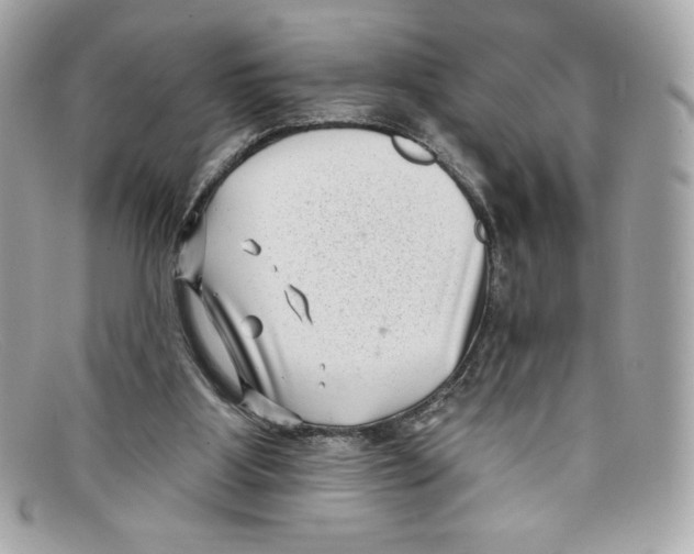 X0000097950107200804211046