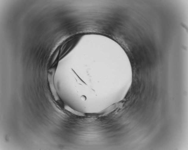 X0000097950108200804211046