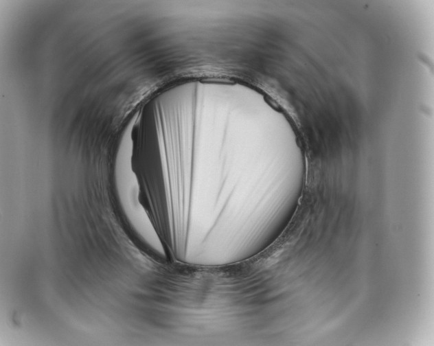 X0000097950109200804211046