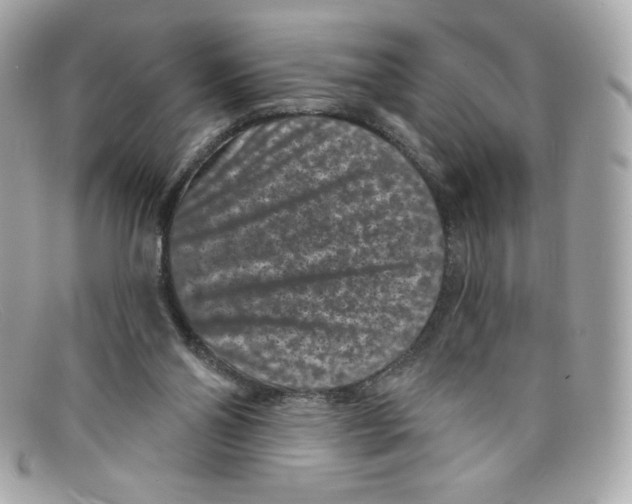 X0000097950110200804211046