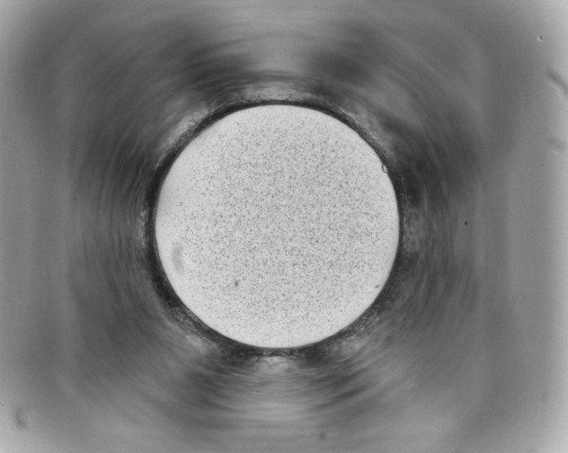 X0000097950111200804211046