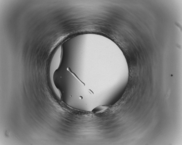 X0000097950112200804211046