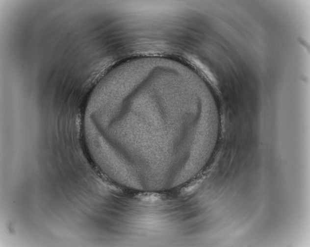 X0000097950113200804211046
