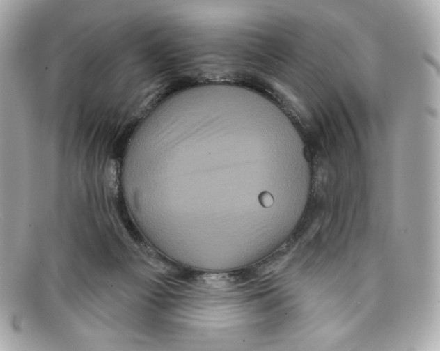 X0000097950121200804211046
