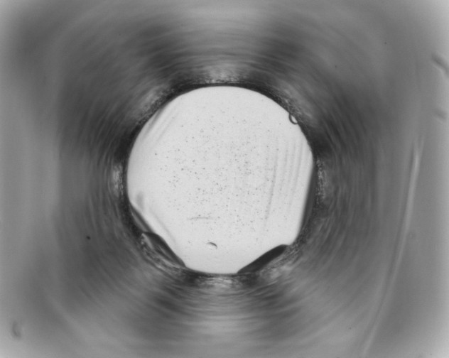 X0000097950123200804211046