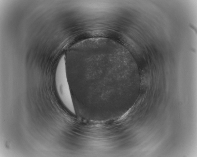 X0000097950124200804211046