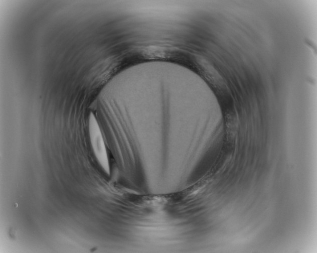 X0000097950125200804211046
