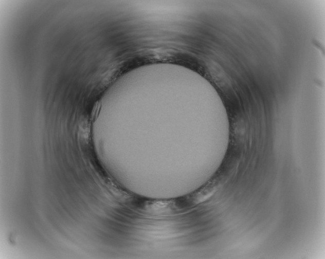 X0000097950129200804211046