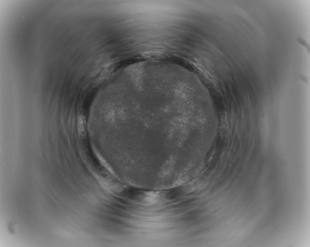 X0000097950130200804211046
