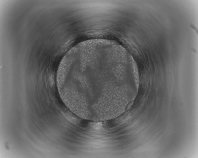 X0000097950131200804211046