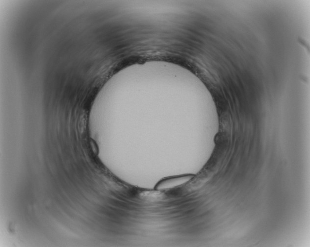X0000097950133200804211046
