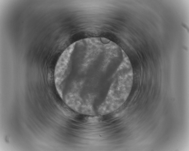 X0000097950134200804211046