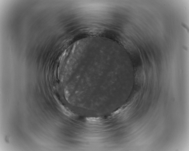 X0000097950137200804211046