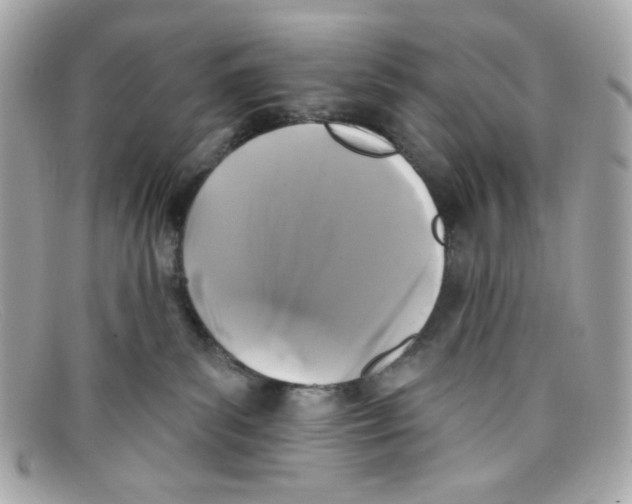 X0000097950139200804211046