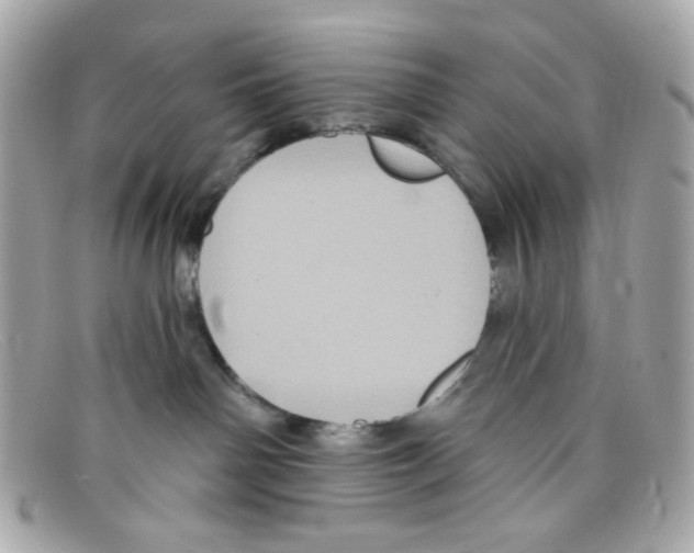 X0000097950142200804211046