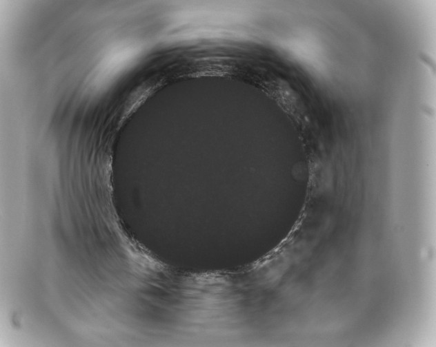 X0000097950146200804211045