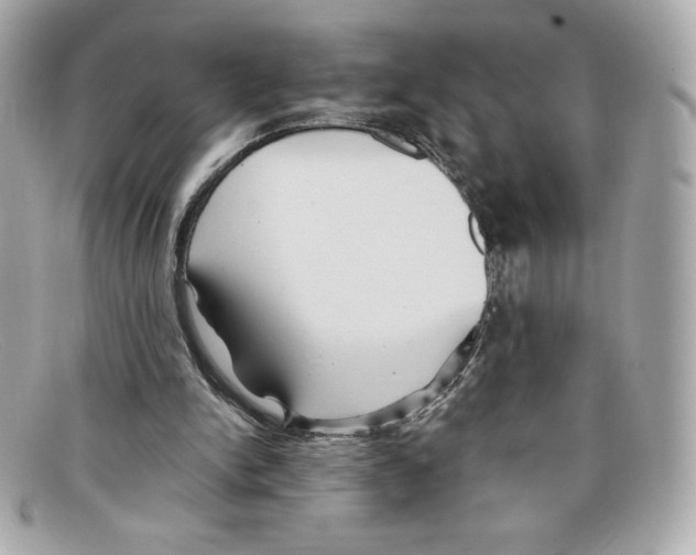 X0000097950150200804211045