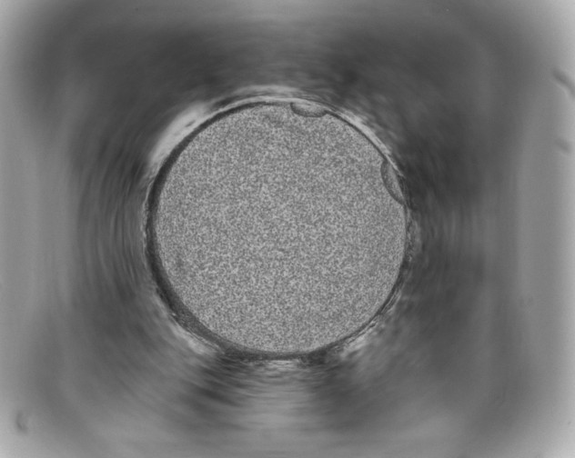 X0000097950151200804211045