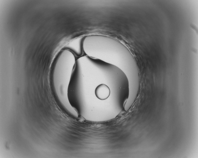 X0000097950152200804211045