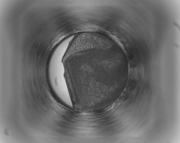 X0000097950154200804211045
