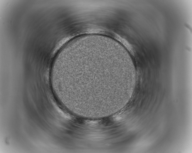 X0000097950155200804211045