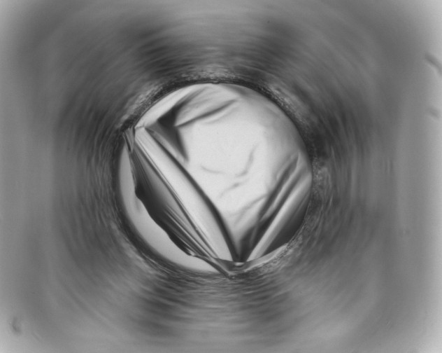 X0000097950158200804211045