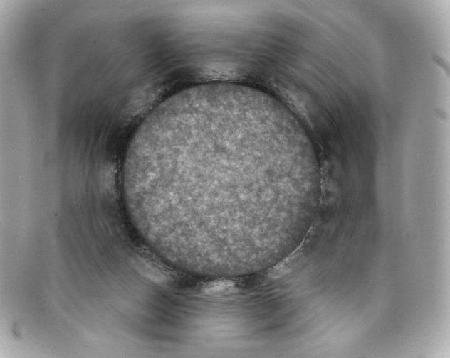 X0000097950162200804211045