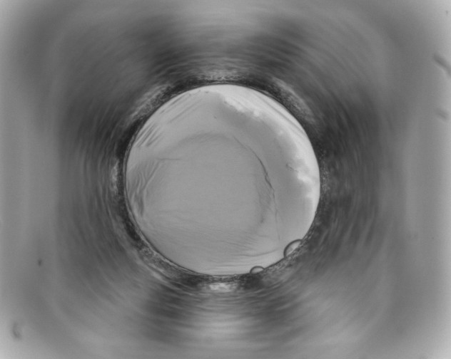 X0000097950163200804211045