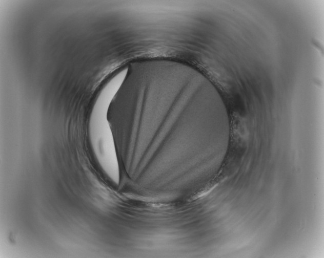 X0000097950164200804211045