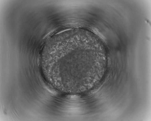 X0000097950165200804211045