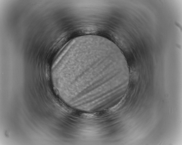 X0000097950170200804211045