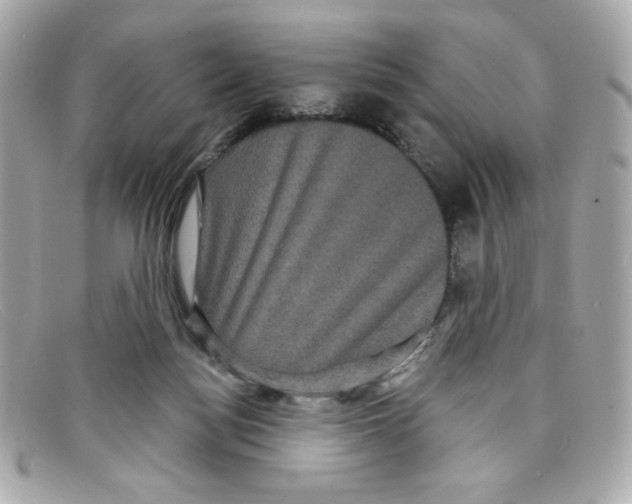 X0000097950172200804211045