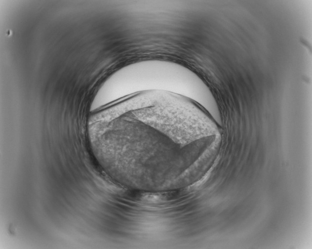 X0000097950174200804211045