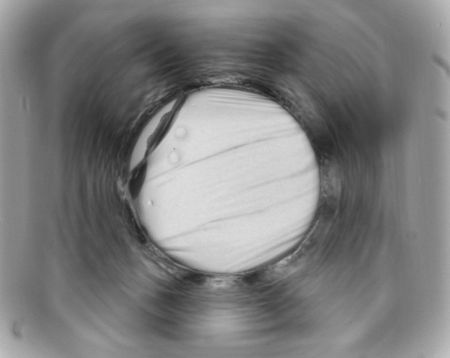 X0000097950175200804211045