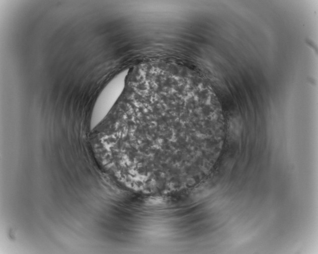 X0000097950177200804211045