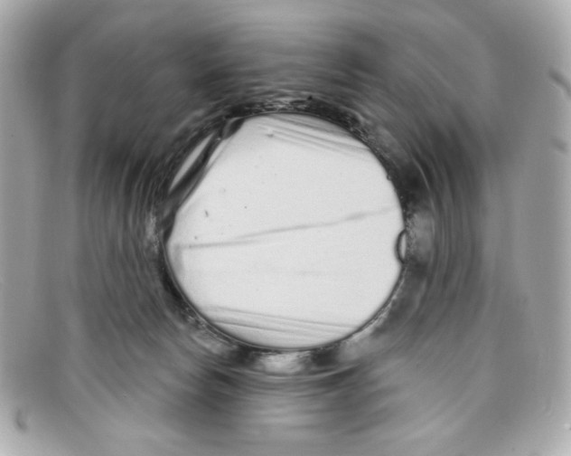 X0000097950178200804211045