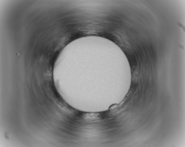 X0000097950179200804211046