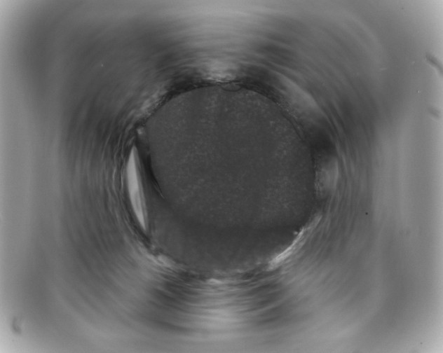 X0000097950180200804211046