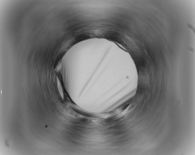 X0000097950188200804211046
