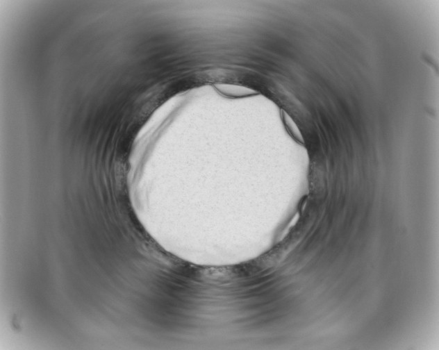 X0000097950189200804211046