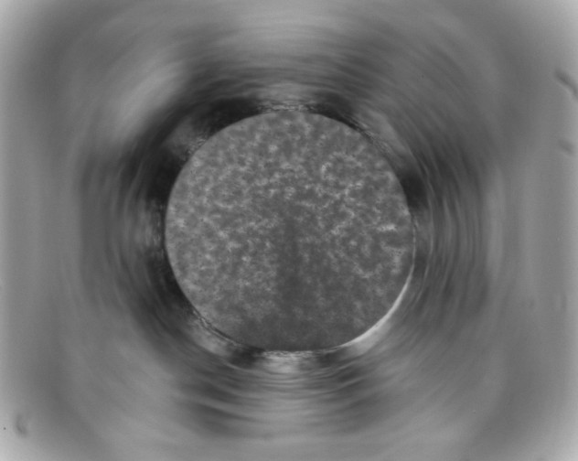 X0000097950190200804211046
