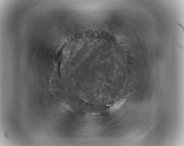 X0000097950192200804211046