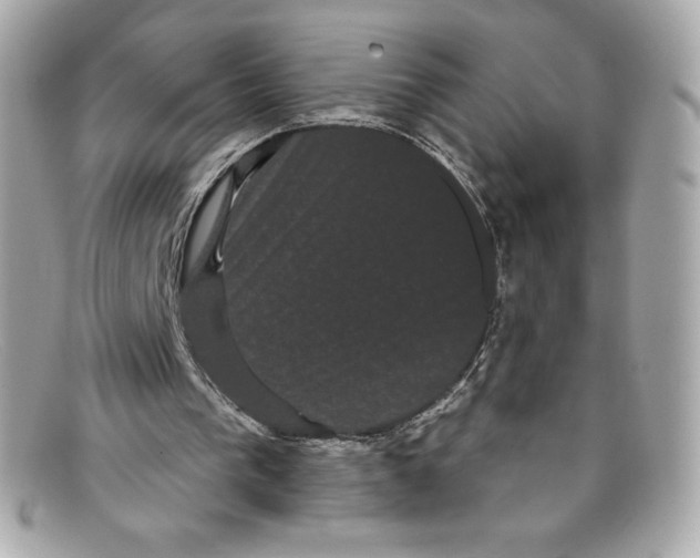 X0000097950193200804211045