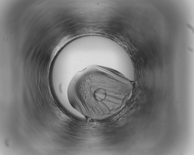 X0000097950195200804211045